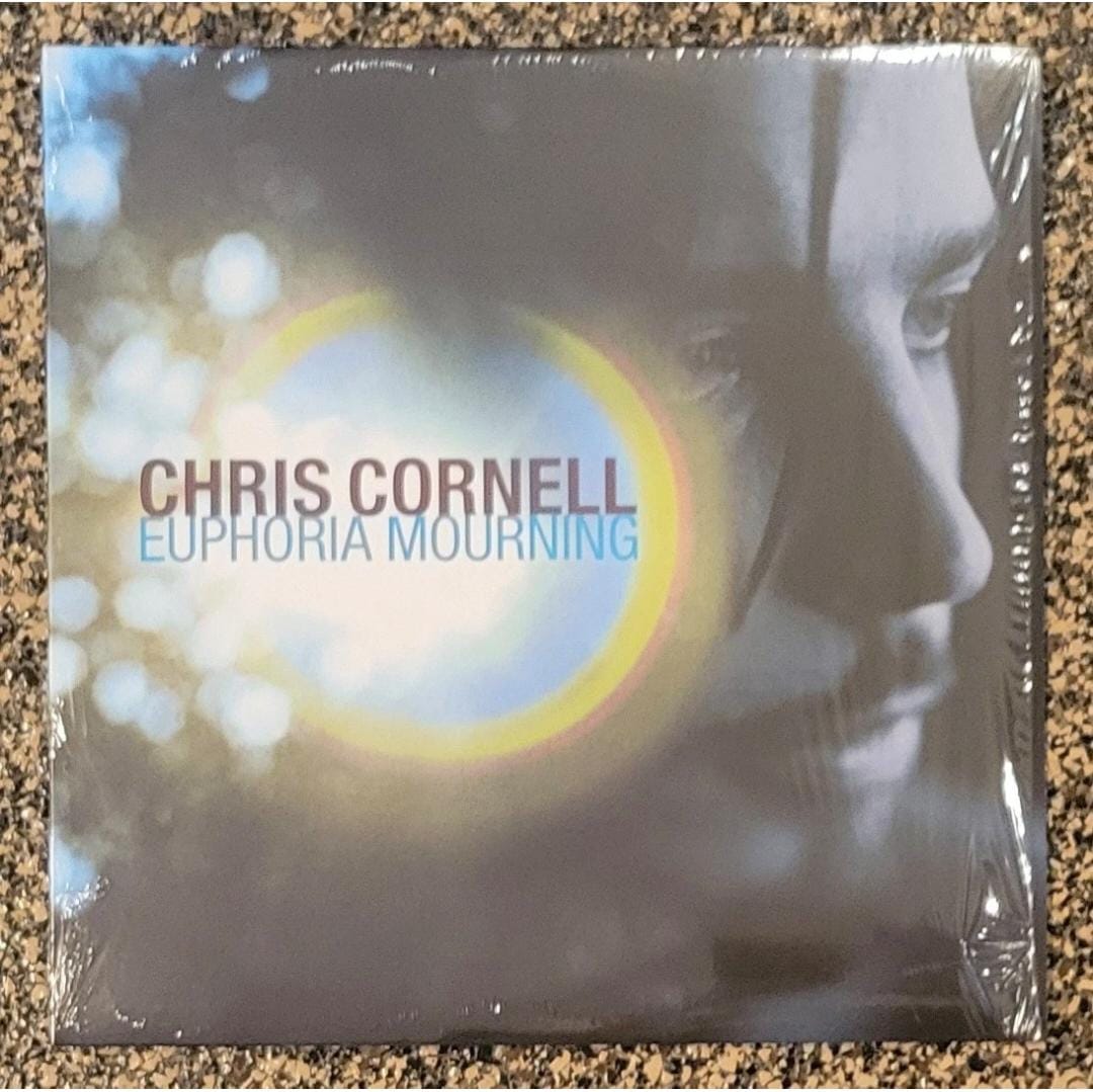 Euphoria Mourning — Chris Cornell